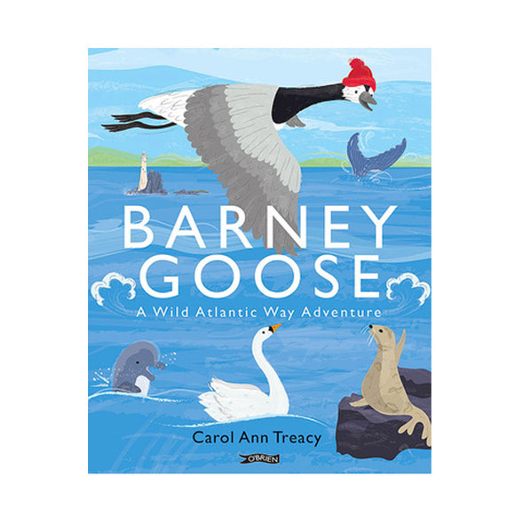 Barney Goose - A Wild Atlantic Way Adventure