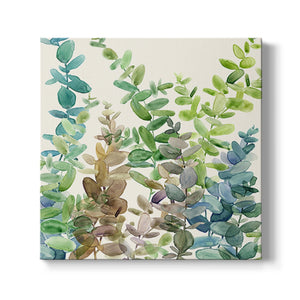 Eucalyptus Grove Canvas